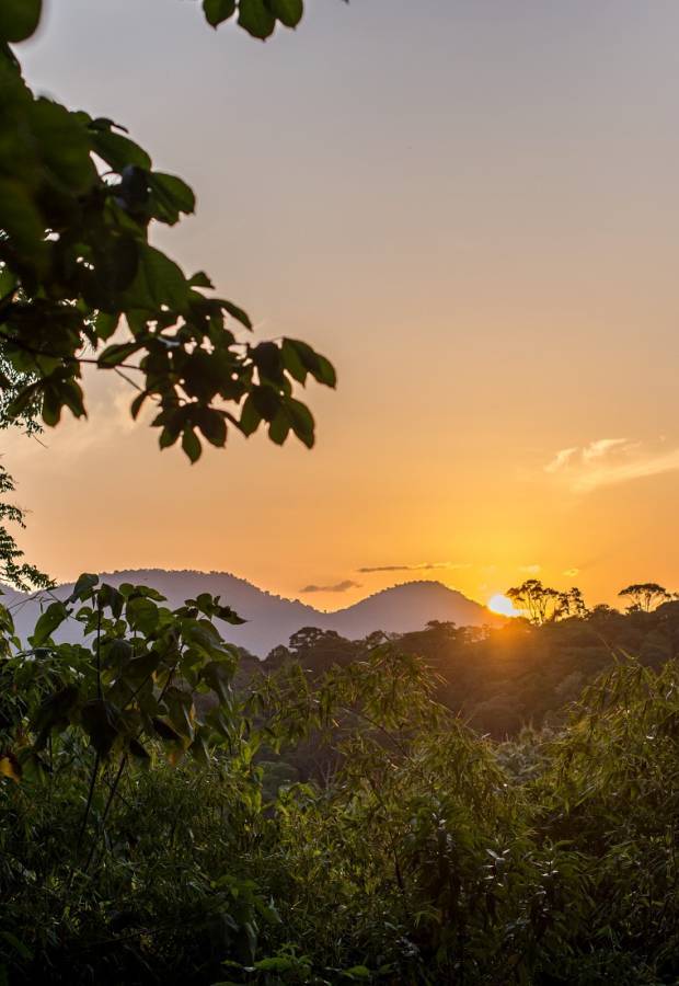 Coucher de soleil sur les Monts Galbao © Guillaume Feuillet / Parc amazonien de Guyane