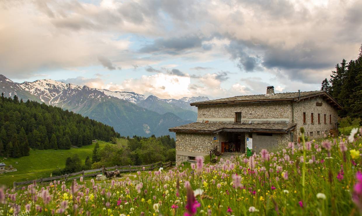 Refuge de l'Orgère au coeur d'un vallon fleuri