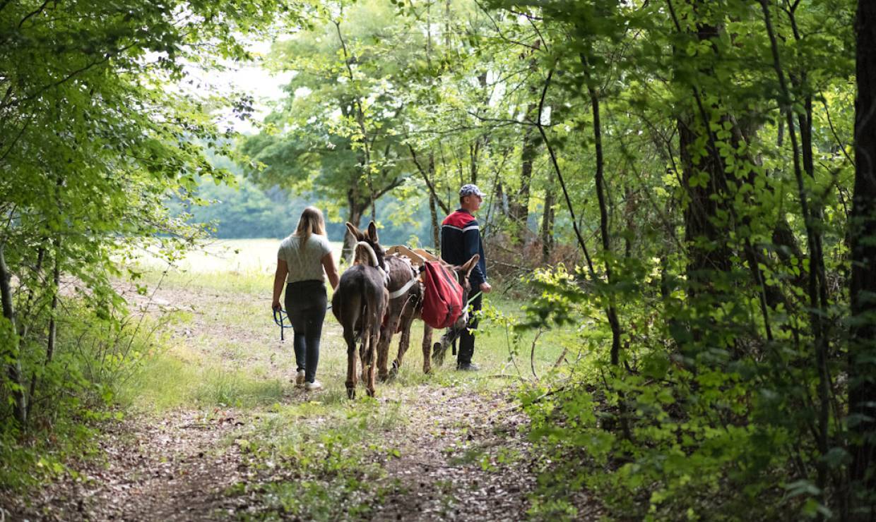 Le Petit Bonheur 21 - Parc national de forêts