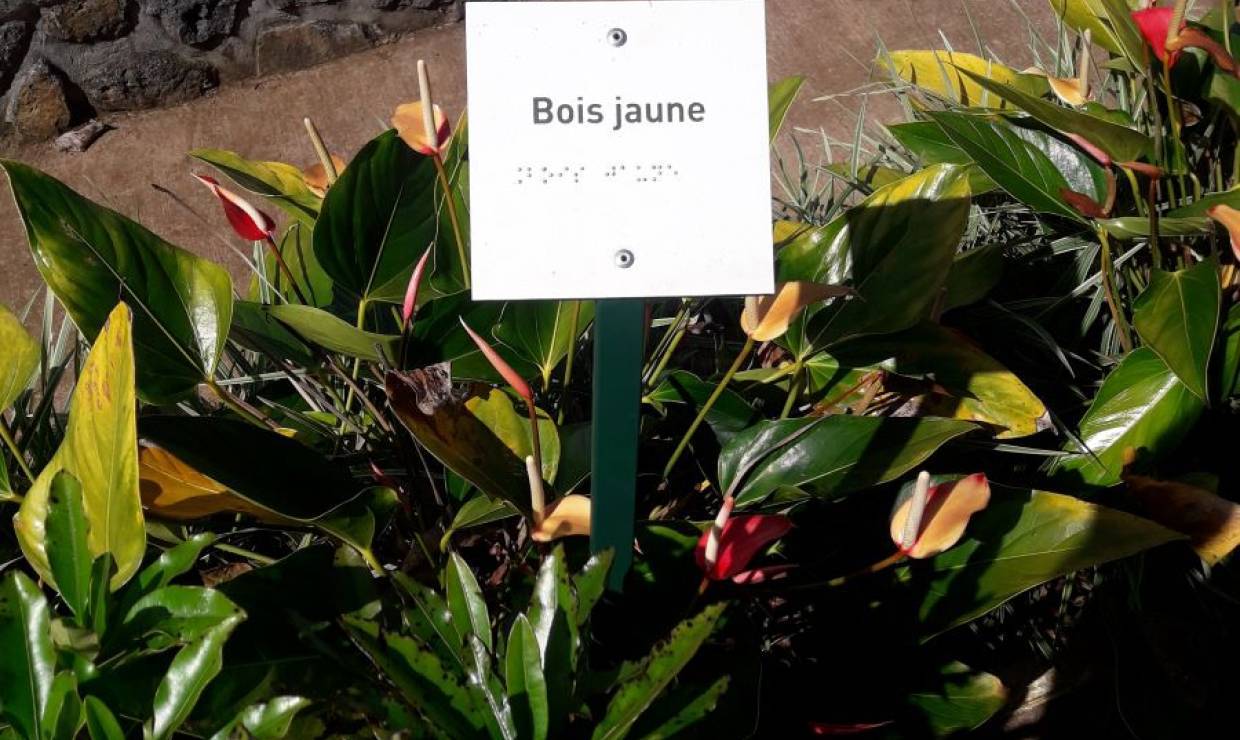 Braille © Jean-Christophe Garcia - Parc national de La Réunion