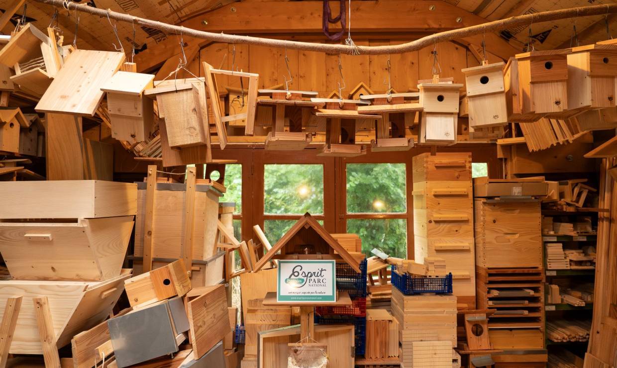 Faites pour Ailes, atelier © Pierre Meyer - AE Médias - Parc national des Pyrénées