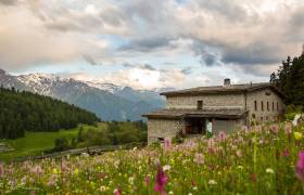 Refuge de l'Orgère au coeur d'un vallon fleuri