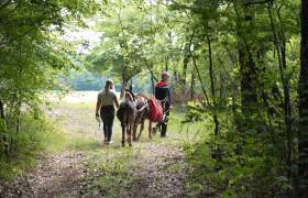 Le Petit Bonheur 21 - Parc national de forêts