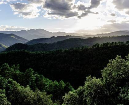 Vallées cévenoles © Olivier Prohin / Parc national des Cévennes