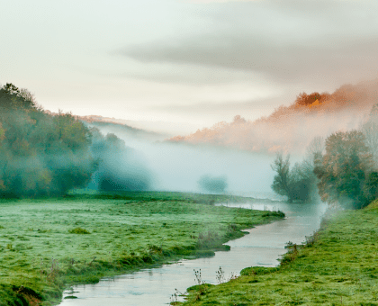 Brouillard sur le Parc national de forêts © Edouard de Ganay