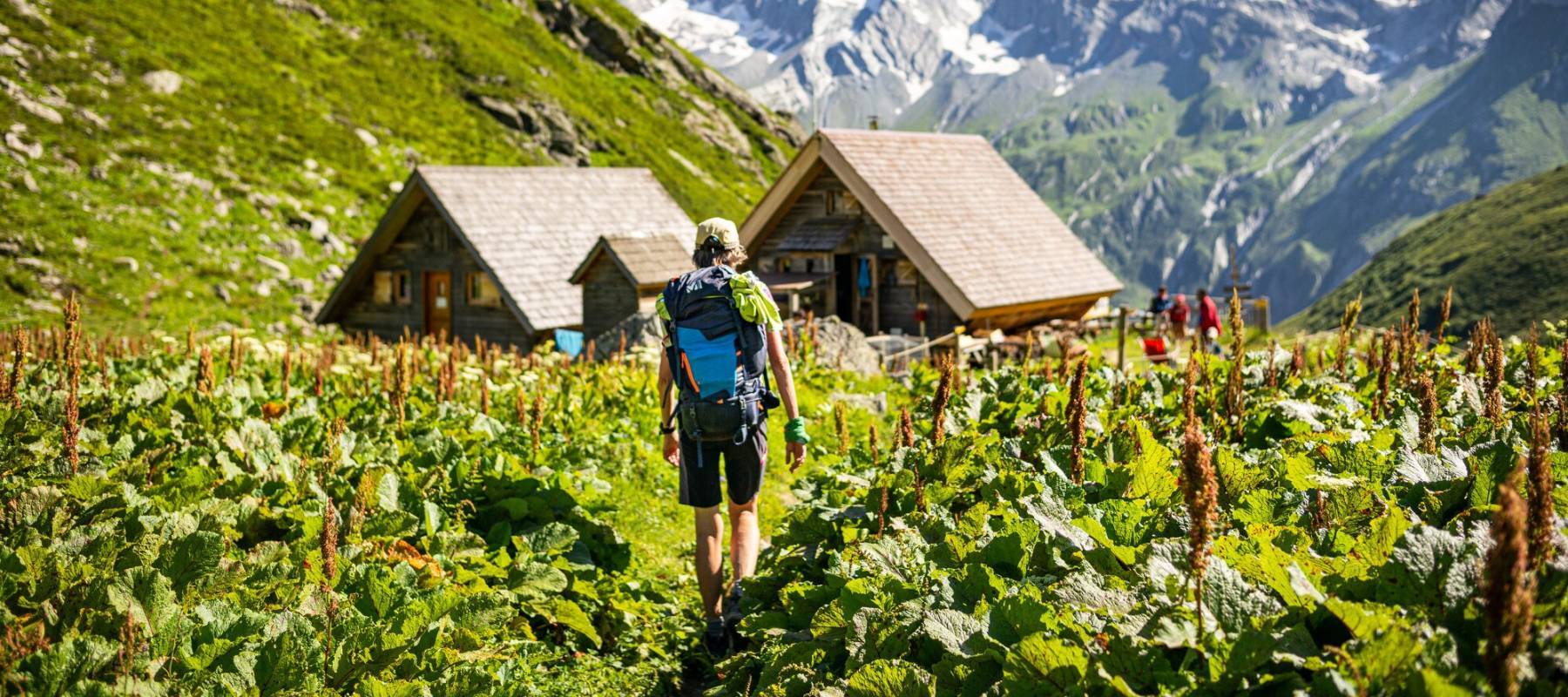 Séjour accompagné "Tour de la Vallaisonnay", vers le refuge de Plaisance © Pierre Witt - Parc national de la Vanoise