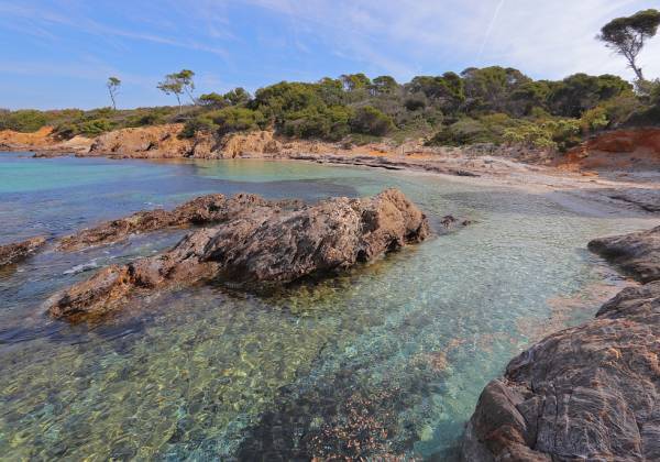 Paysage littoral à Porquerolles © Muriel Gasquy - Parc national de Port-Cros
