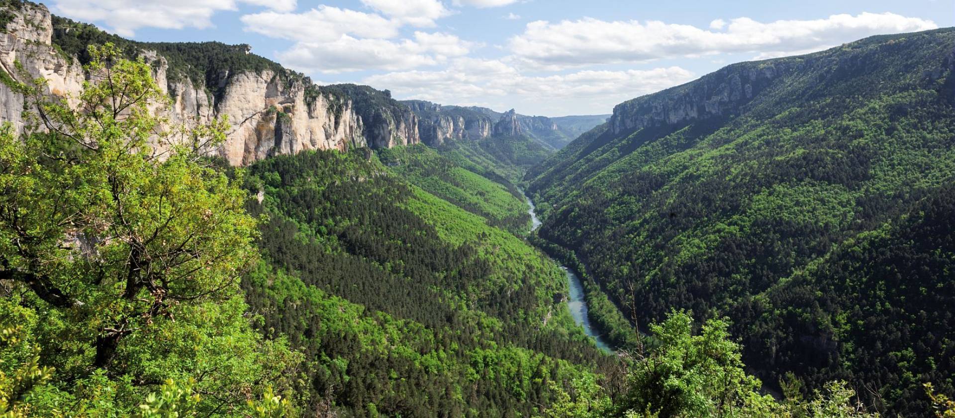 Gorges du Tarn dans les Cévennes © Daversin Bruno