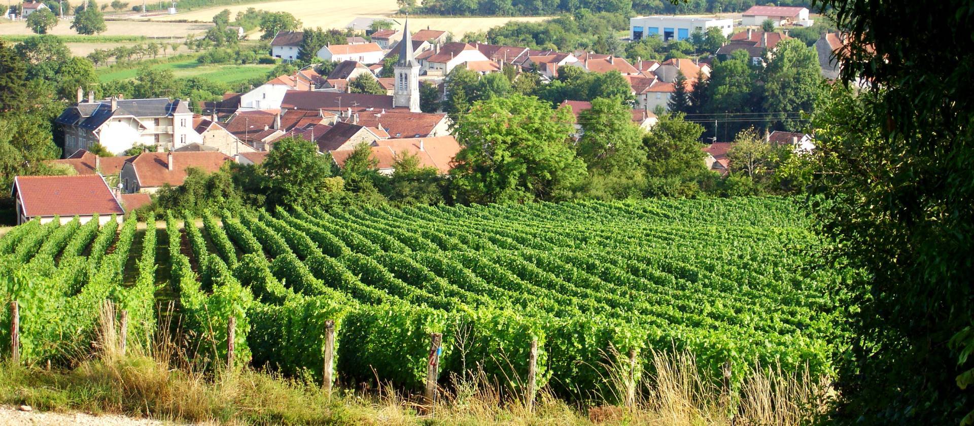 Vue sur le Domaine Muid Montsaugeonnais  © Dominique Bernard