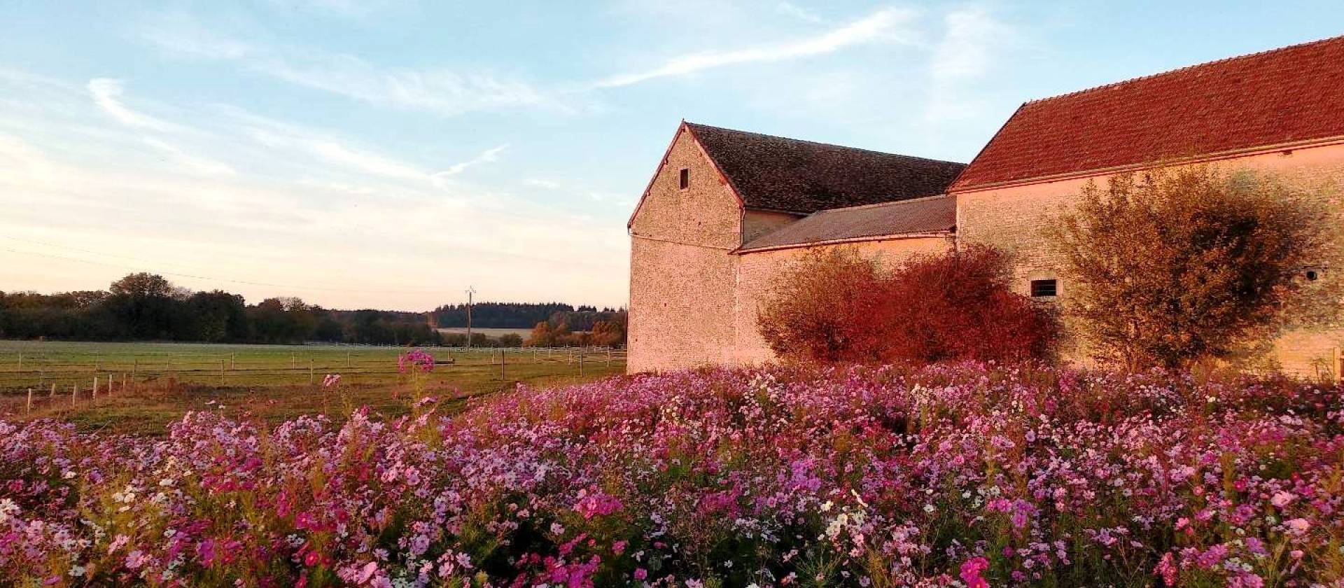 Le petit bonheur 21 - gîte © EstherVuillermet