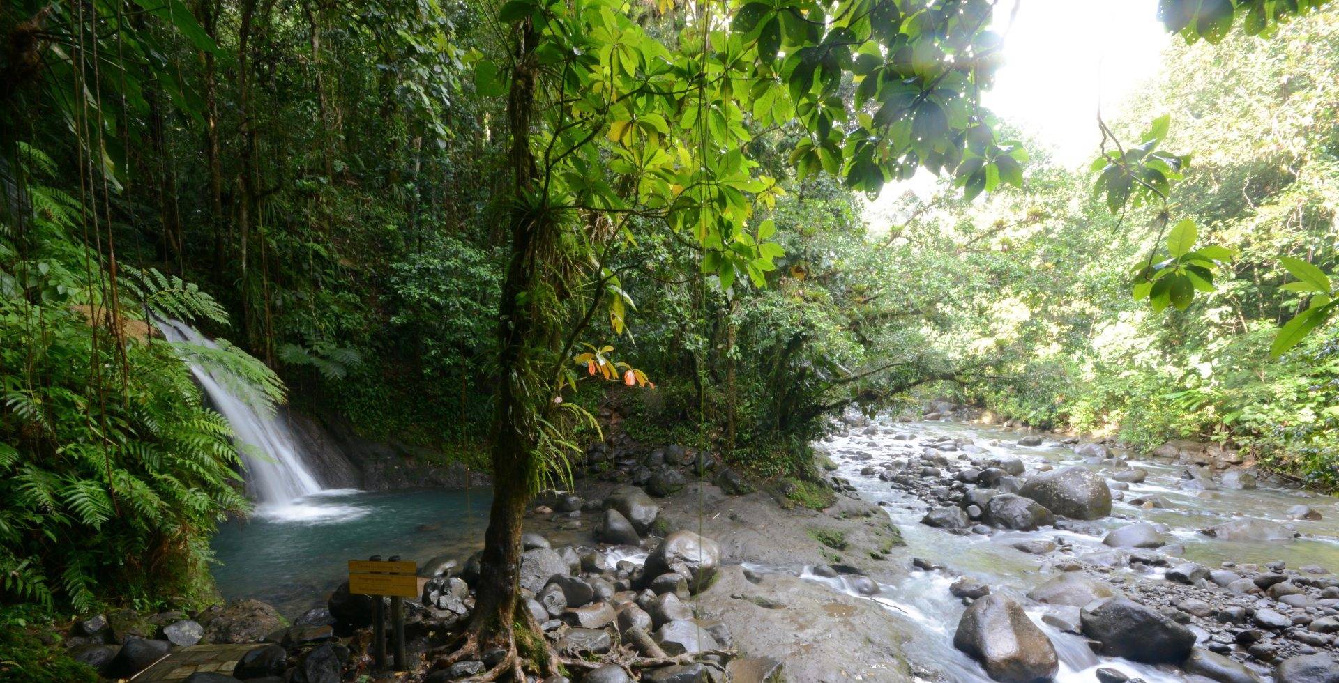 Cascade aux écrevisses dans le Parc national de Guadeloupe © Jean-Philippe Vantighem - Parc national de Guadeloupe
