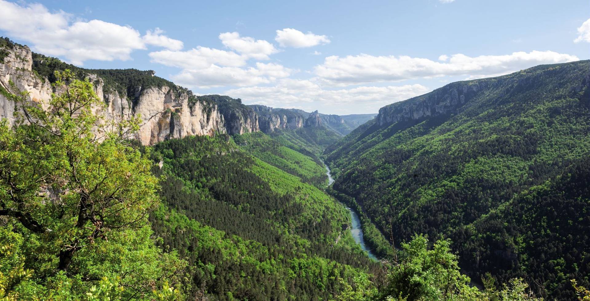 Gorges du Tarn dans les Cévennes © Daversin Bruno