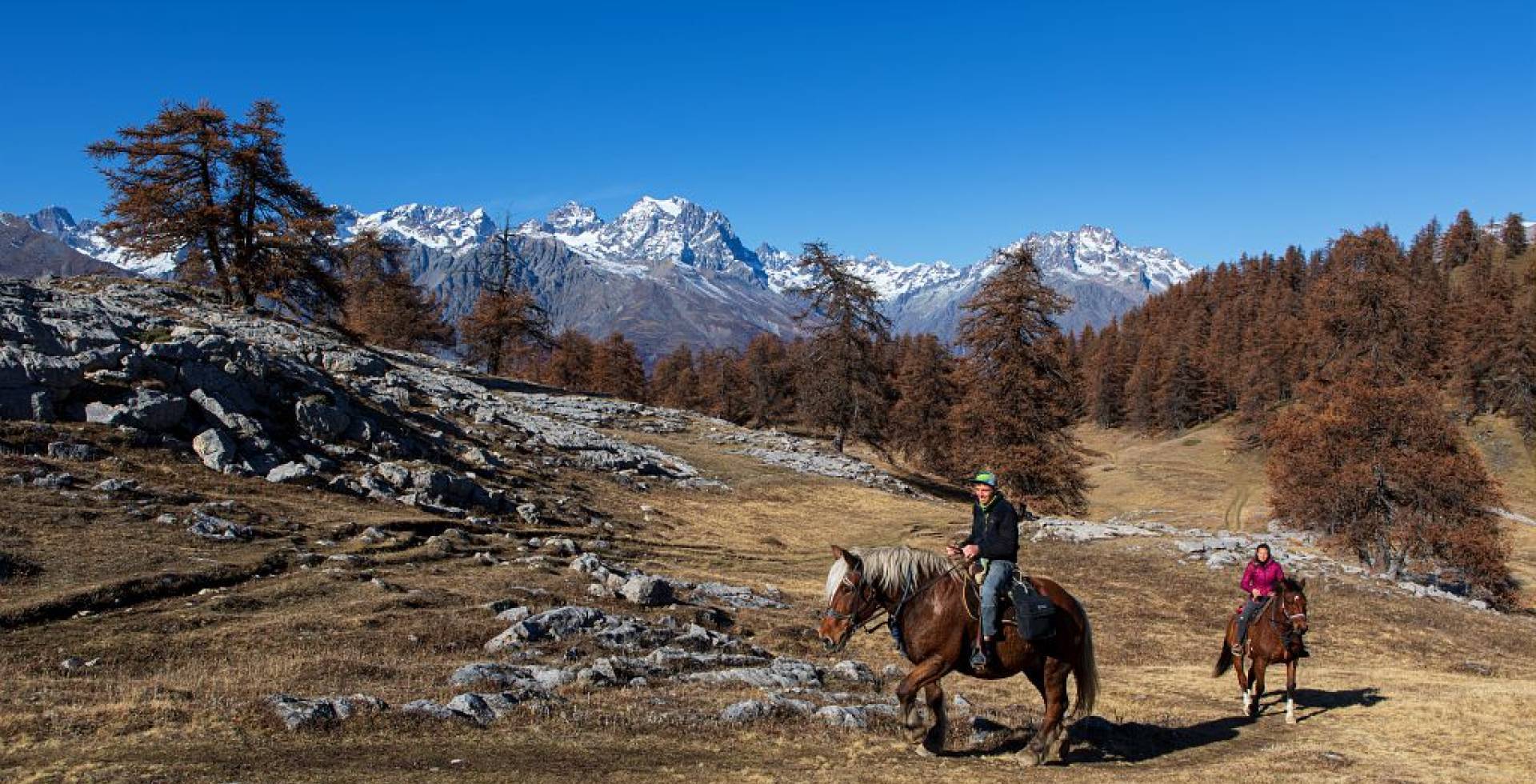 Randonnée à cheval face au massif des Ecrins - Les Têtes © Maillet Thierry / Parc national des Ecrins