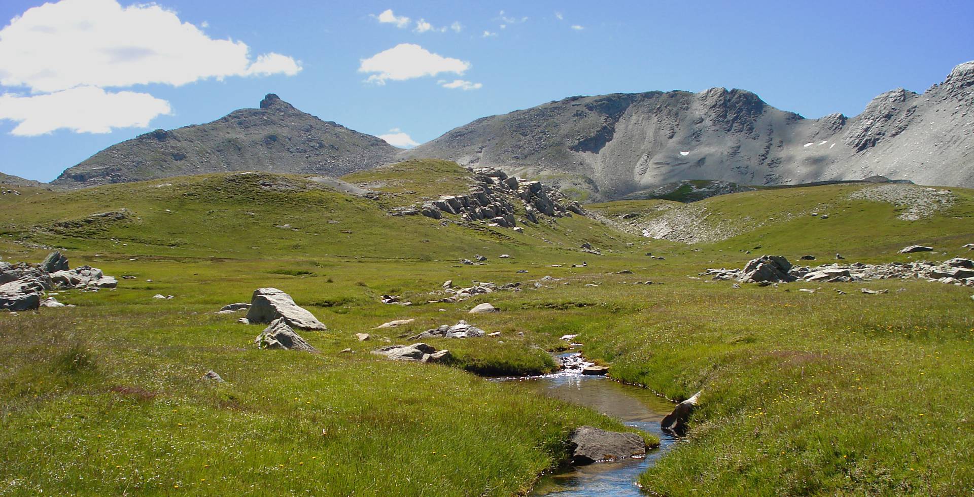 Prairie dans le parc national du Mercantour © Marc Evenot / Parc national du Mercantour