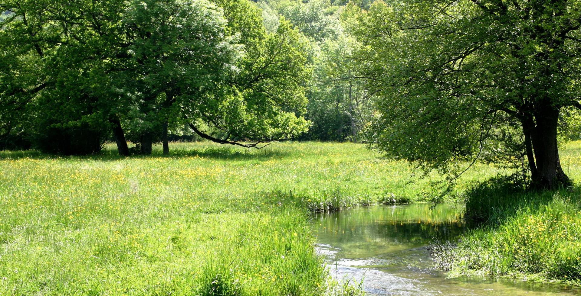 Vallée du Brevon © Francois Poillotte / Parc national de forêts