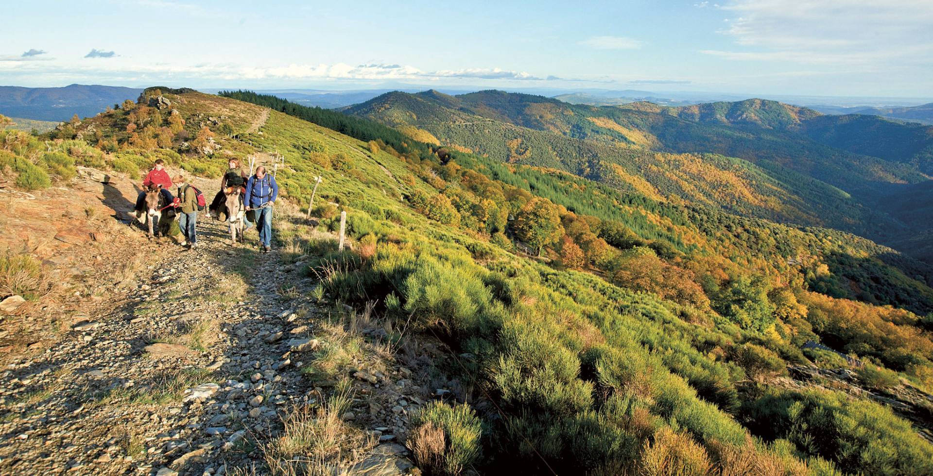 Randonnée avec ânes © Alain Lagrave / Parc national des Cévennes