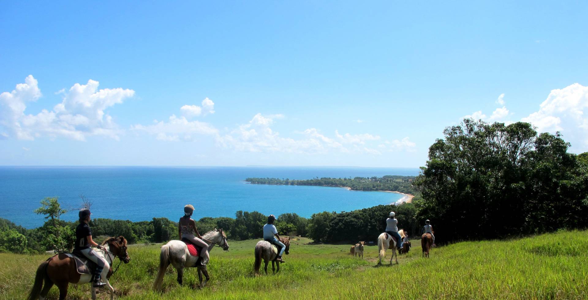 Randonnée équestre avec le ranch des 2 îlets © Didier-Laurent Aubert - DAAF Guadeloupe