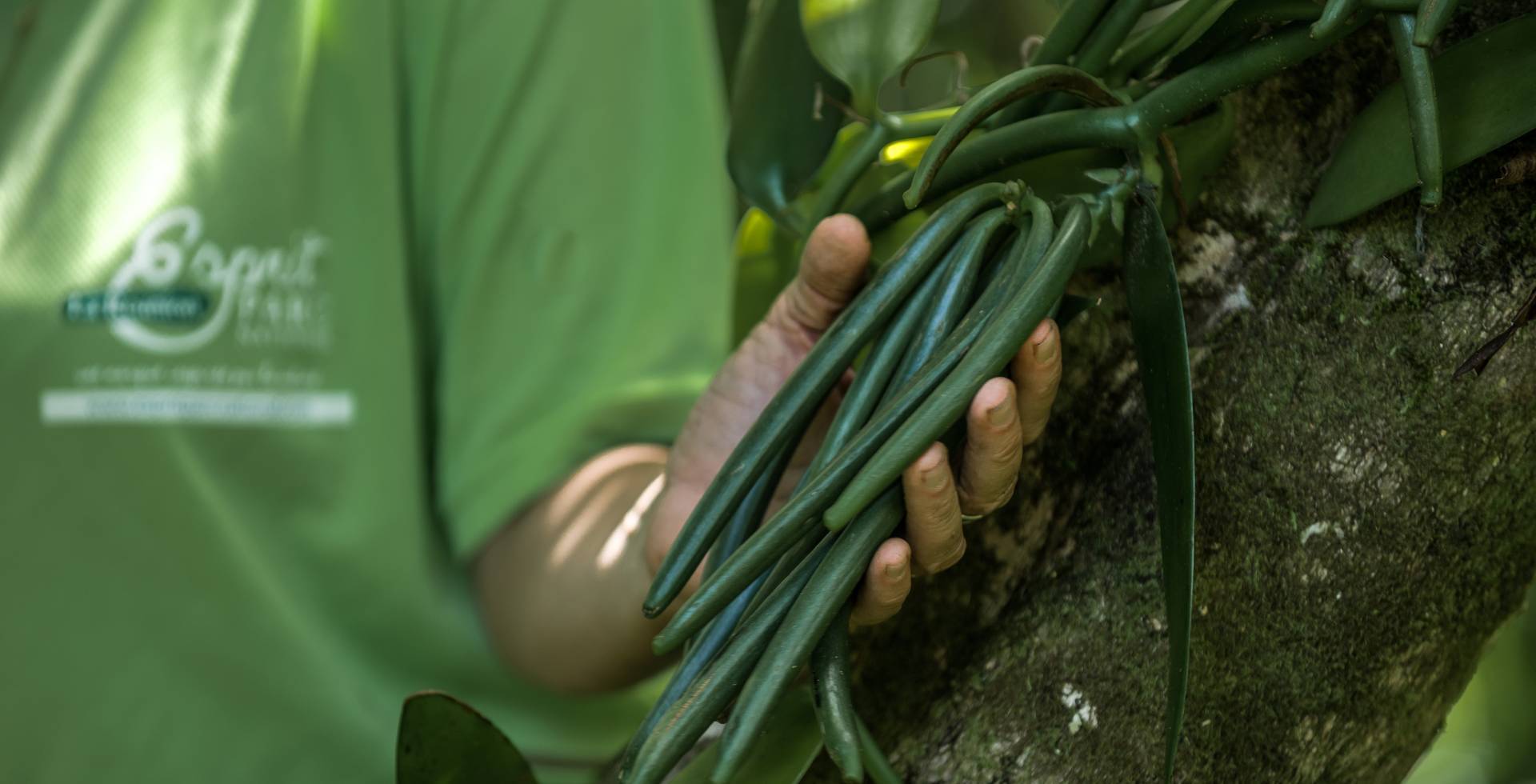 Maryse Mounier © Sébastien Conejero / Parc national de La Réunion