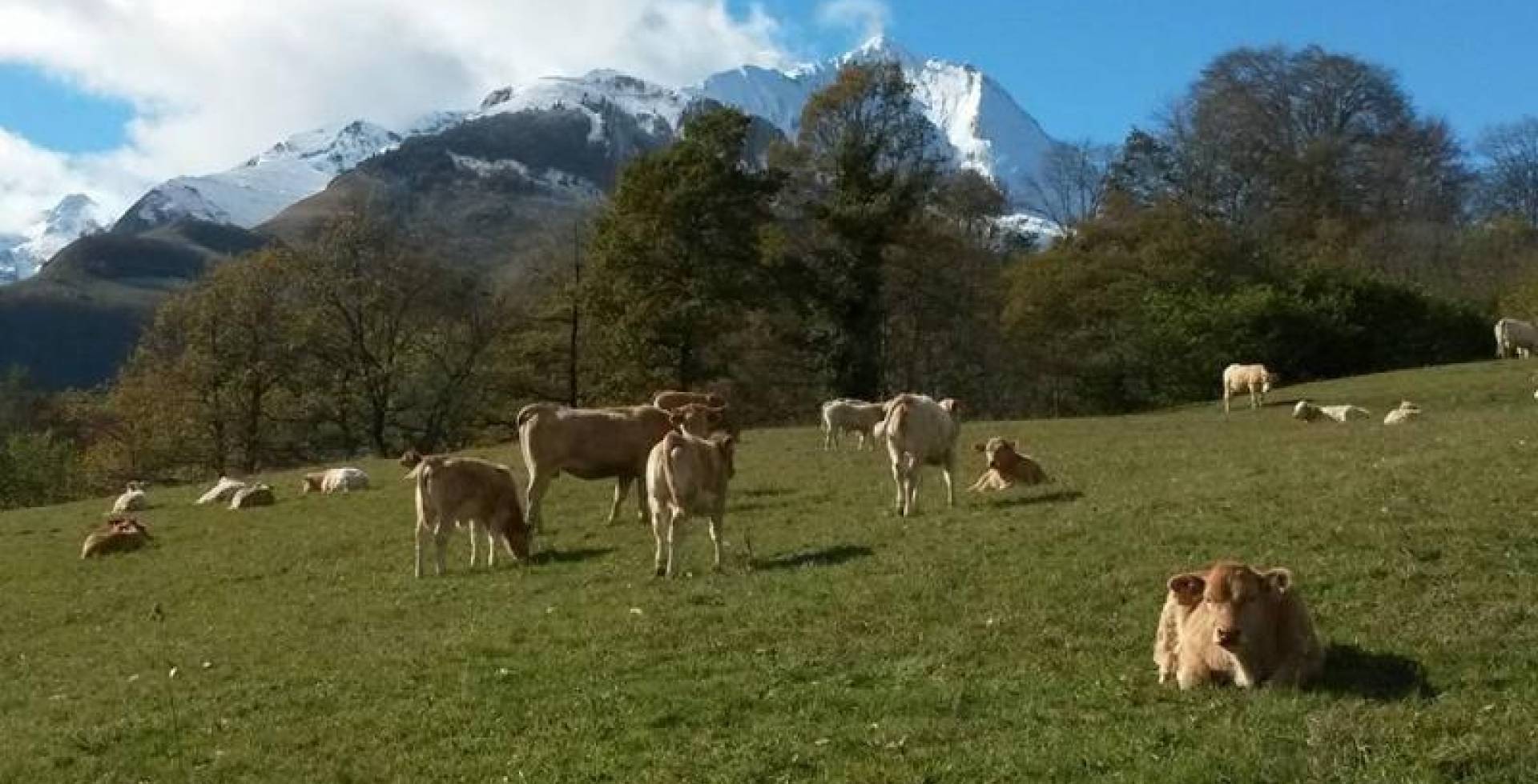 Ferme Bretou © DR /Parc national des Pyrénées