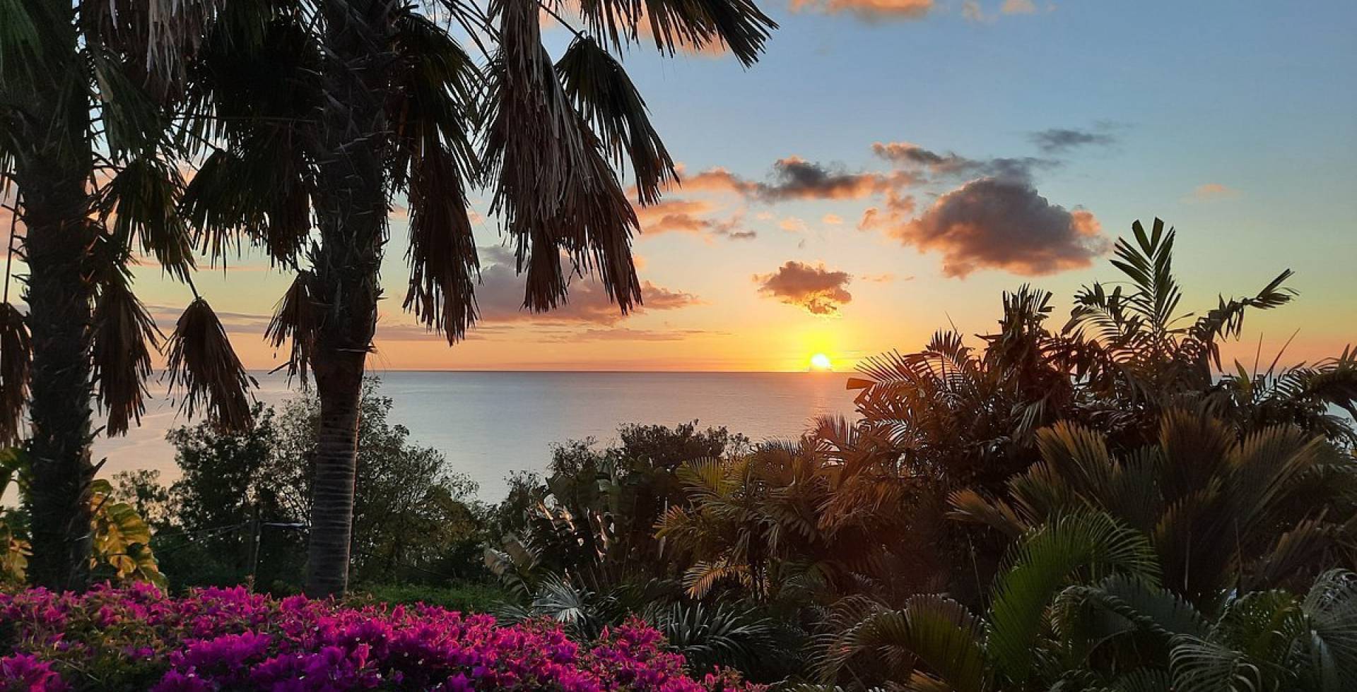 Vue © Rochers Caraïbes