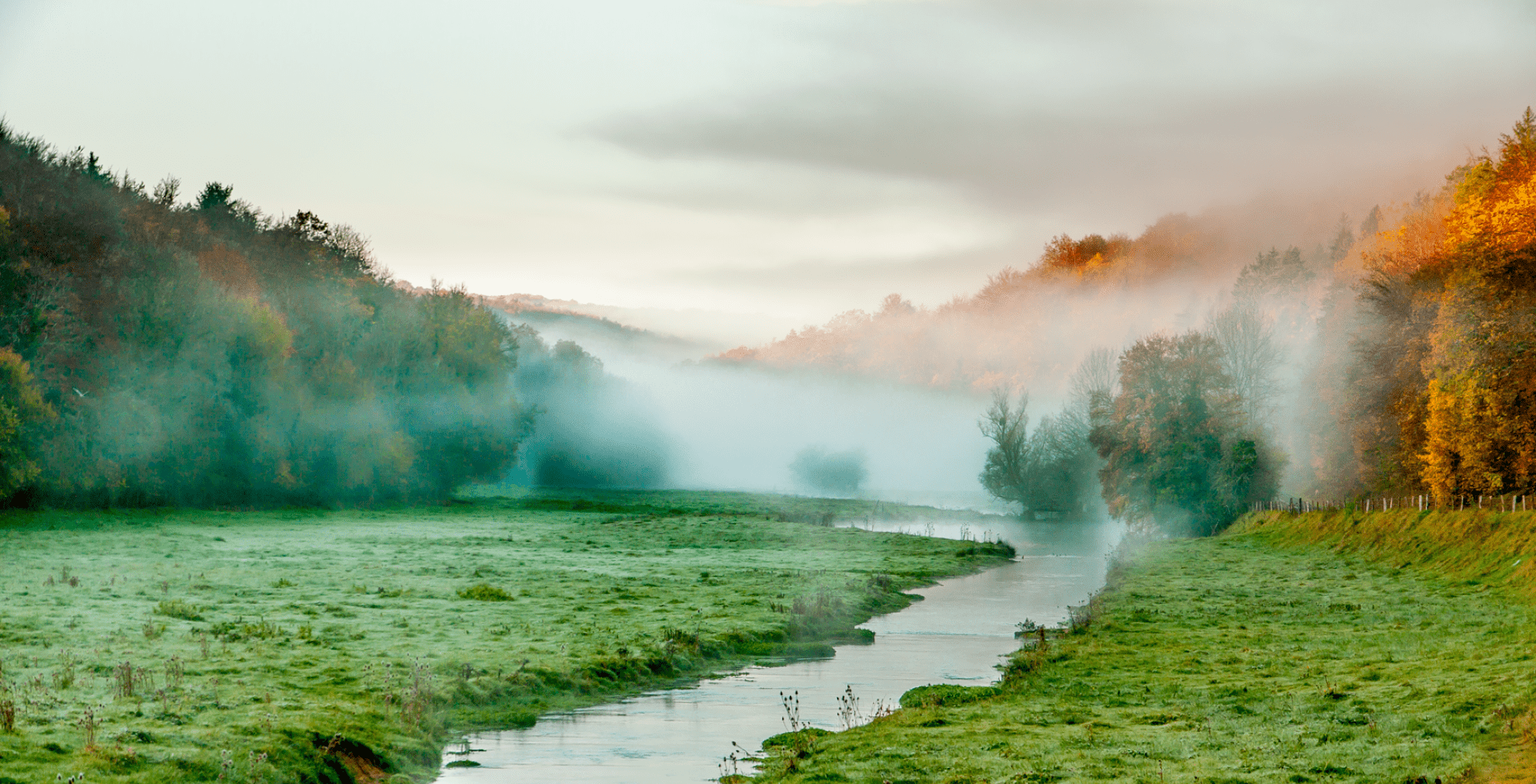 Brouillard sur le Parc national de forêts © Edouard de Ganay