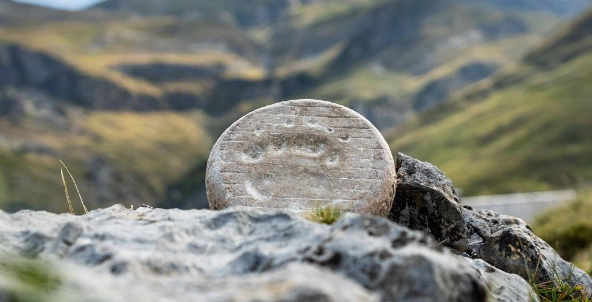 Tomme brebis estive GAEC Bexka © Pierre Meyer-AE. Médias – Parc national des Pyrénées