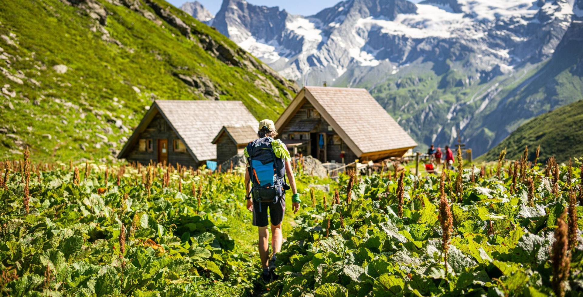 Séjour accompagné "Tour de la Vallaisonnay", vers le refuge de Plaisance © Pierre Witt - Parc national de la Vanoise