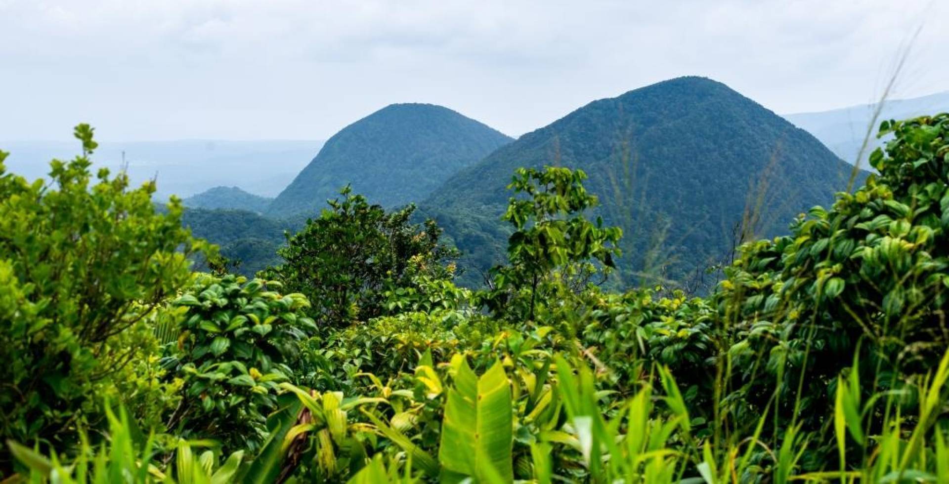 Massif des mamelles © Lara Balais - Parc national de la Guadeloupe