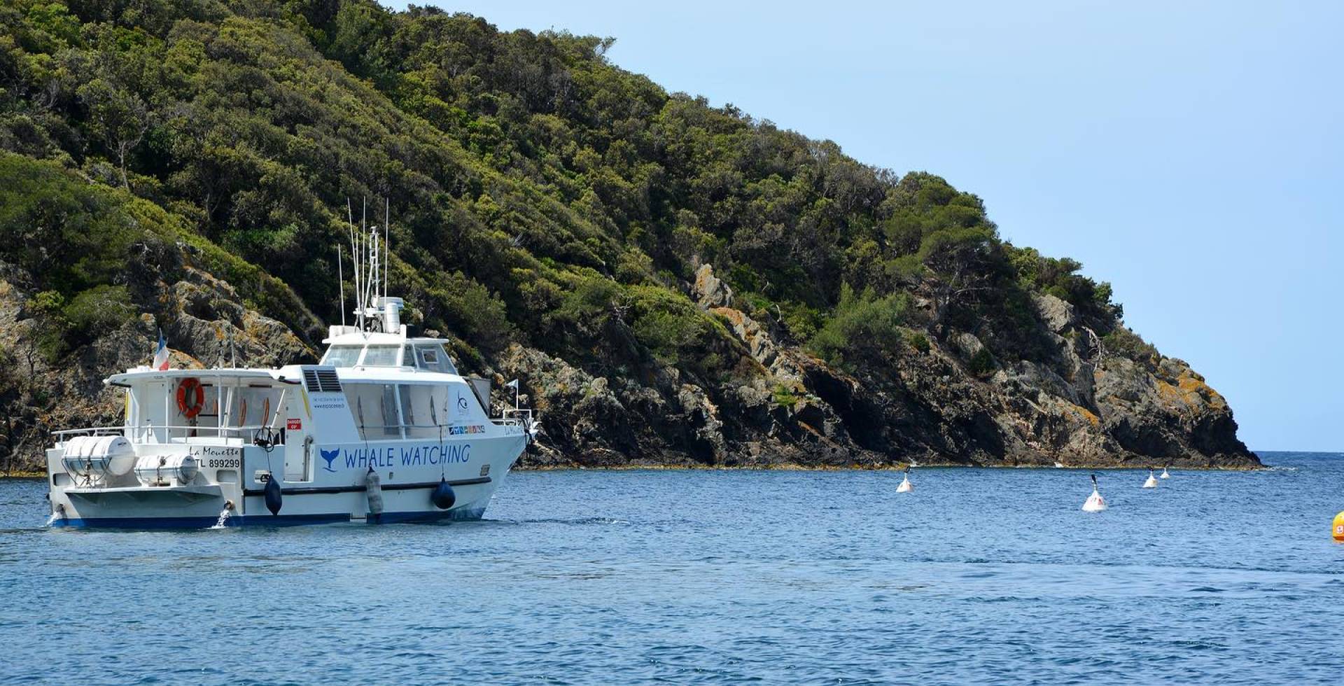 Vedette whale watching © Espace Mer