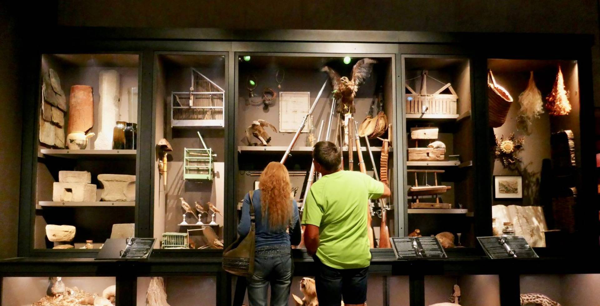 Maison Rouge, vitrine des 3 règnes © Maison Rouge