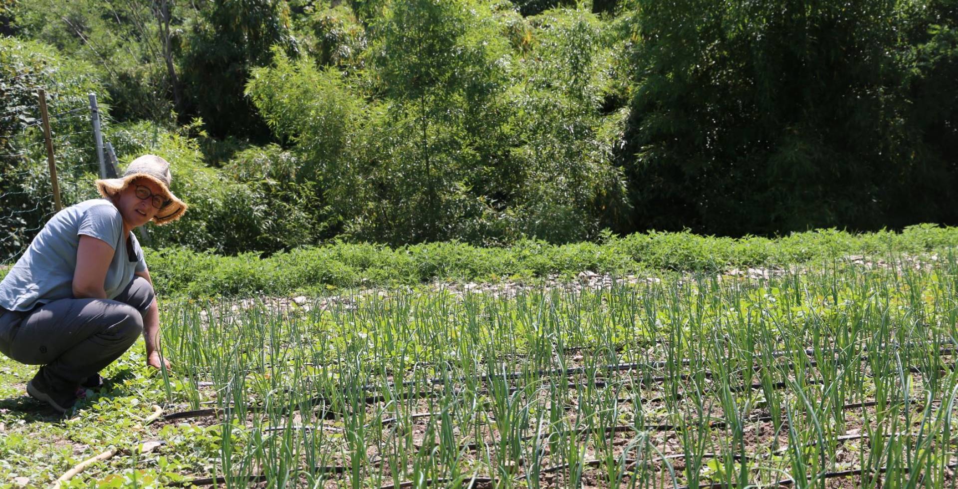 Emmanuelle Polge dans ses champs © Charlotte Vandeventer - Parc national des Cévennes