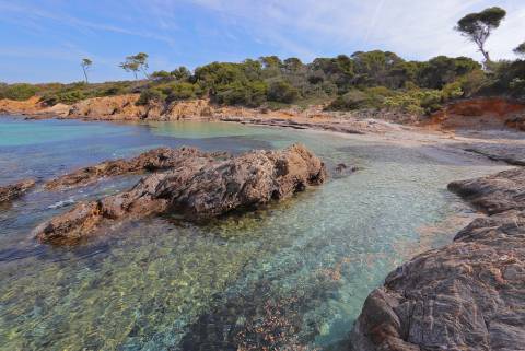Paysage littoral à Porquerolles © Muriel Gasquy / Parc national de Port-Cros Paysage littoral à Porquerolles © Muriel Gasquy / Parc national de Port-Cros