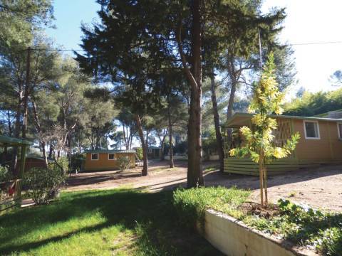 Camping Le pin de Galle © Emmanuelle Pouquet – Parc national de Port-Cros Camping Le pin de Galle © Emmanuelle Pouquet – Parc national de Port-Cros