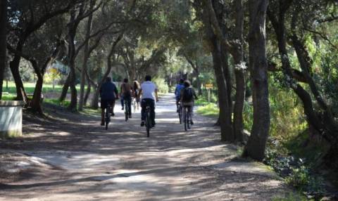 En selle sur les chemins de Porquerolles © M. Mabari - Medpan