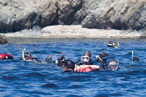 Plongée avec Espace mer © Hélène Dos Santos – Parc national de Port-Cros