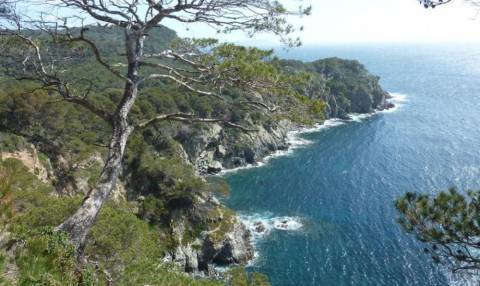 Porquerolles entre nature et culture © Naturelles balades