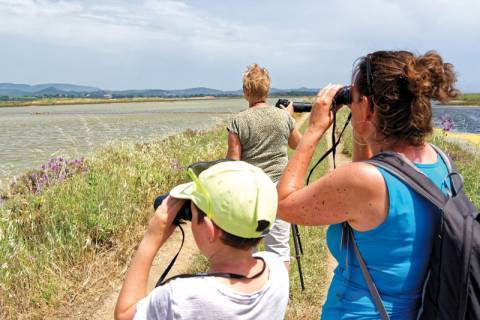 Sortie accompagnée avec Mireille Perolini © René Bukudjian – Parc national de Port-Cros Sortie accompagnée avec Mireille Perolini © René Bukudjian – Parc national de Port-Cros
