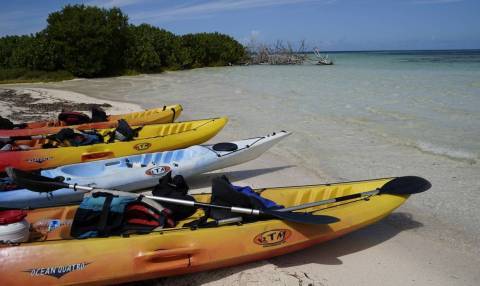 Sortie de découverte du Grand-Cul-de-Sac Marin en kayak © Didier-Laurent Aubert - DAAF Guadeloupe