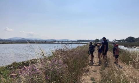 Sortie de découverte des oiseaux sur les vieux salins d’Hyères © Loane Grasset - Parc national de Port-Cros