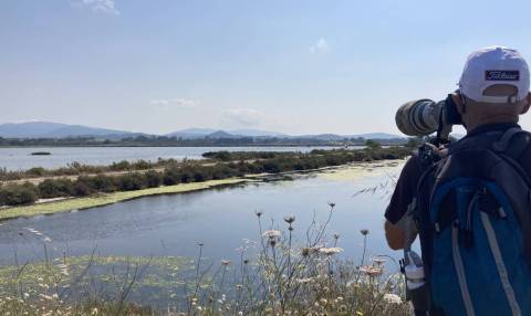 Sortie de découverte des oiseaux sur les vieux salins d’Hyères © Loane Grasset - Parc national de Port-Cros