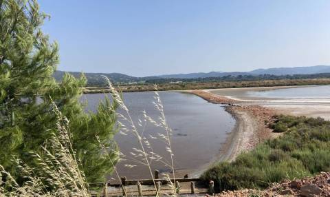 Sortie de découverte des oiseaux sur les vieux salins d’Hyères © Loane Grasset - Parc national de Port-Cros