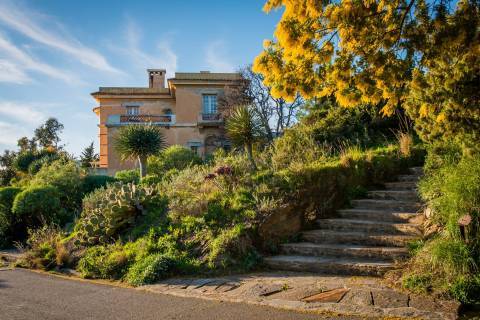 Vue sur les jardins © Domaine du Rayol Vue sur les jardins © Domaine du Rayol
