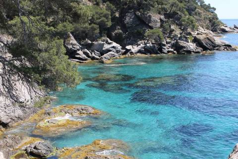 Vue sur la Grande bleue et ses eaux turquoises depuis la pointe du Figuier © Chloé Arregoces - Domaine du Rayol