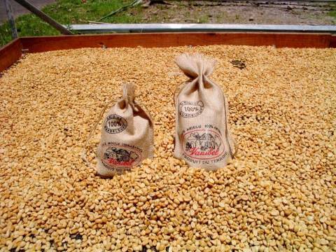 Café du Vanibel © Domaine de Vanibel Café du Vanibel © Domaine de Vanibel