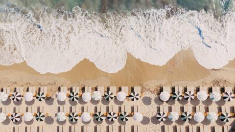 lov_plage © Lily of the Valley