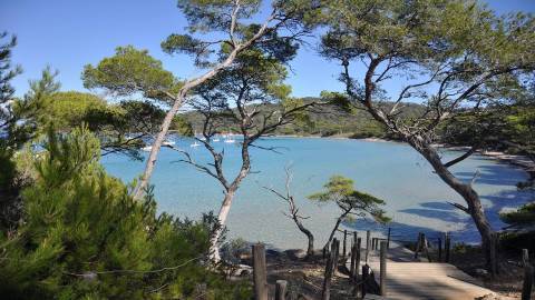 Porquerolles1 © Le cycle porquerollais Porquerolles1 © Le cycle porquerollais