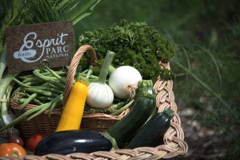 Jardins du Cosmos, panier de légumes © Céline Lecomte - Parc national de forêts