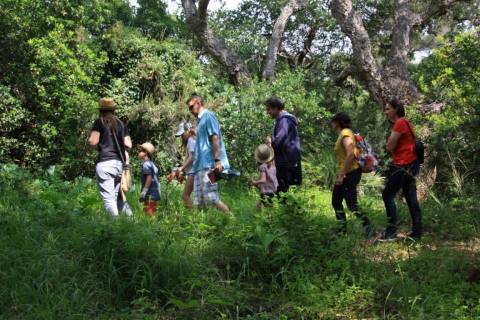 Activité famille "Les mains dans la terre" © Domaine du Rayol Activité famille "Les mains dans la terre" © Domaine du Rayol