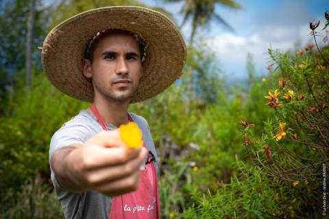 Tisane du Volcan, Nicolas Choisis © Le bon Zest - Jérôme Barret
