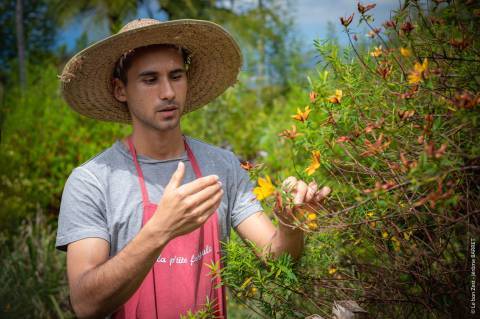 Tisane du Volcan, Nicolas Choisis © Le bon Zest - Jérôme Barret